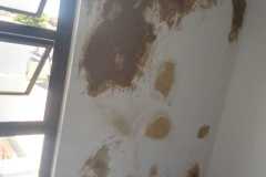 WhatsApp-Image-2025-10-30-at-17.15.32