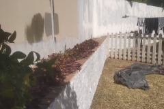 WhatsApp-Image-2025-09-15-at-18.24.14